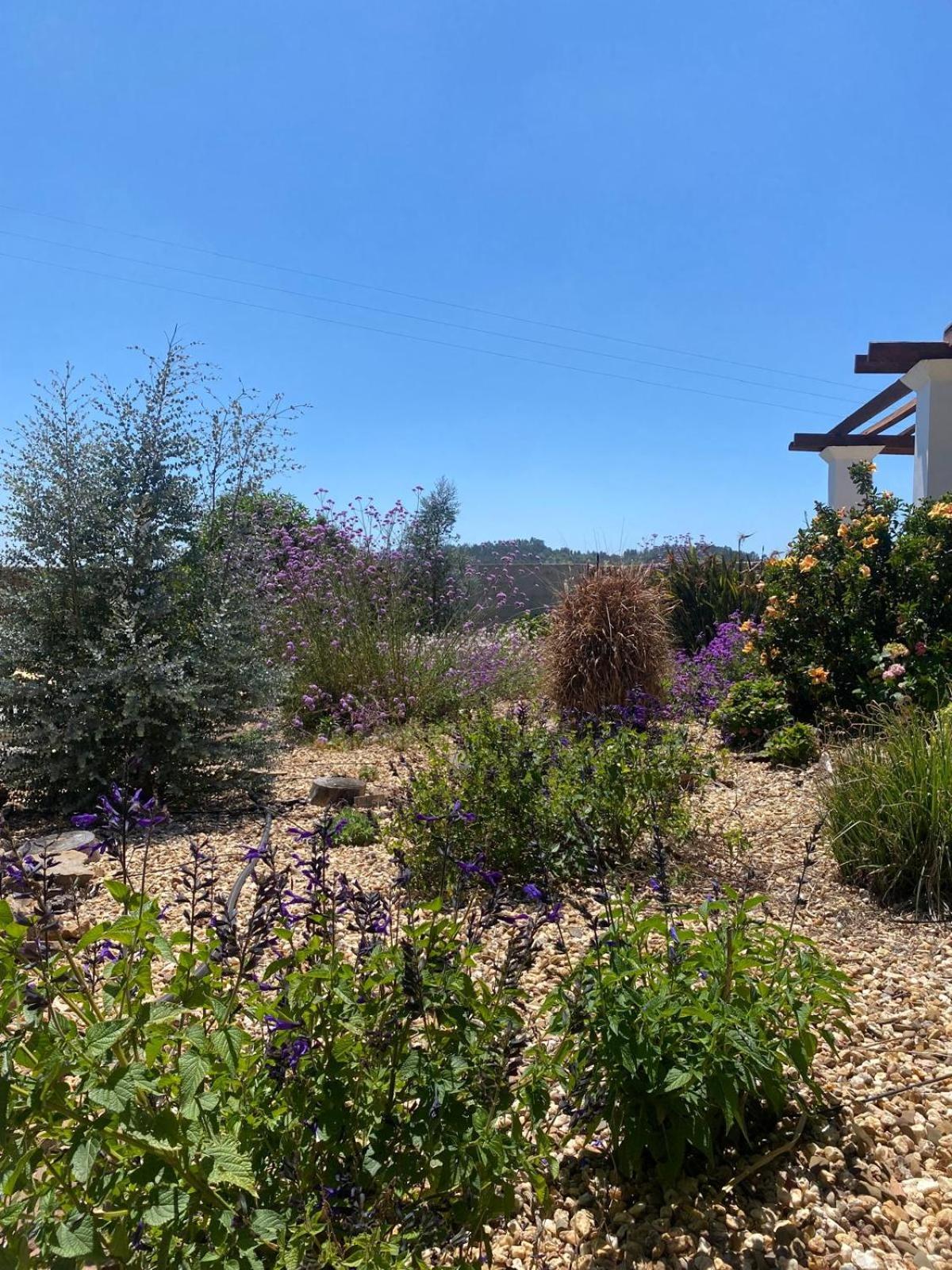 Quinta Cunte - Casa Sobreiro Villa São Luis Exteriör bild