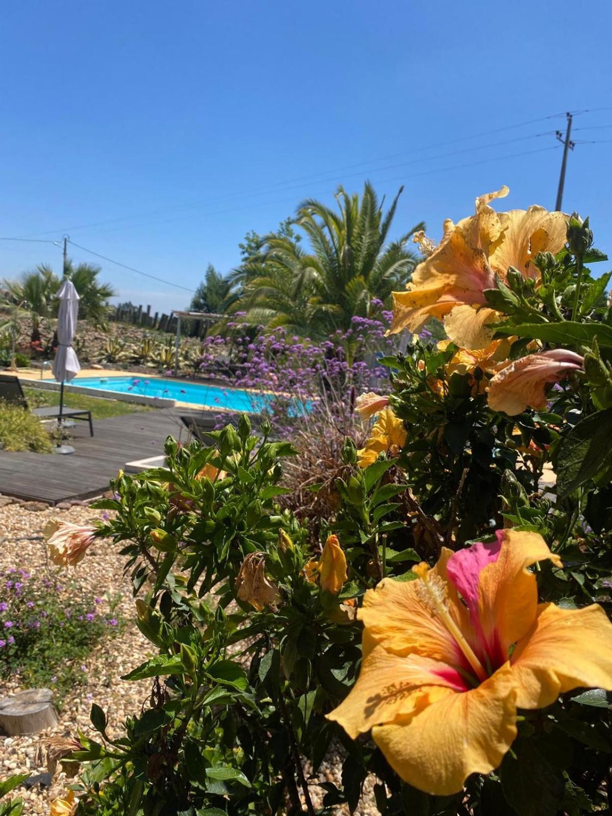 Quinta Cunte - Casa Sobreiro Villa São Luis Exteriör bild