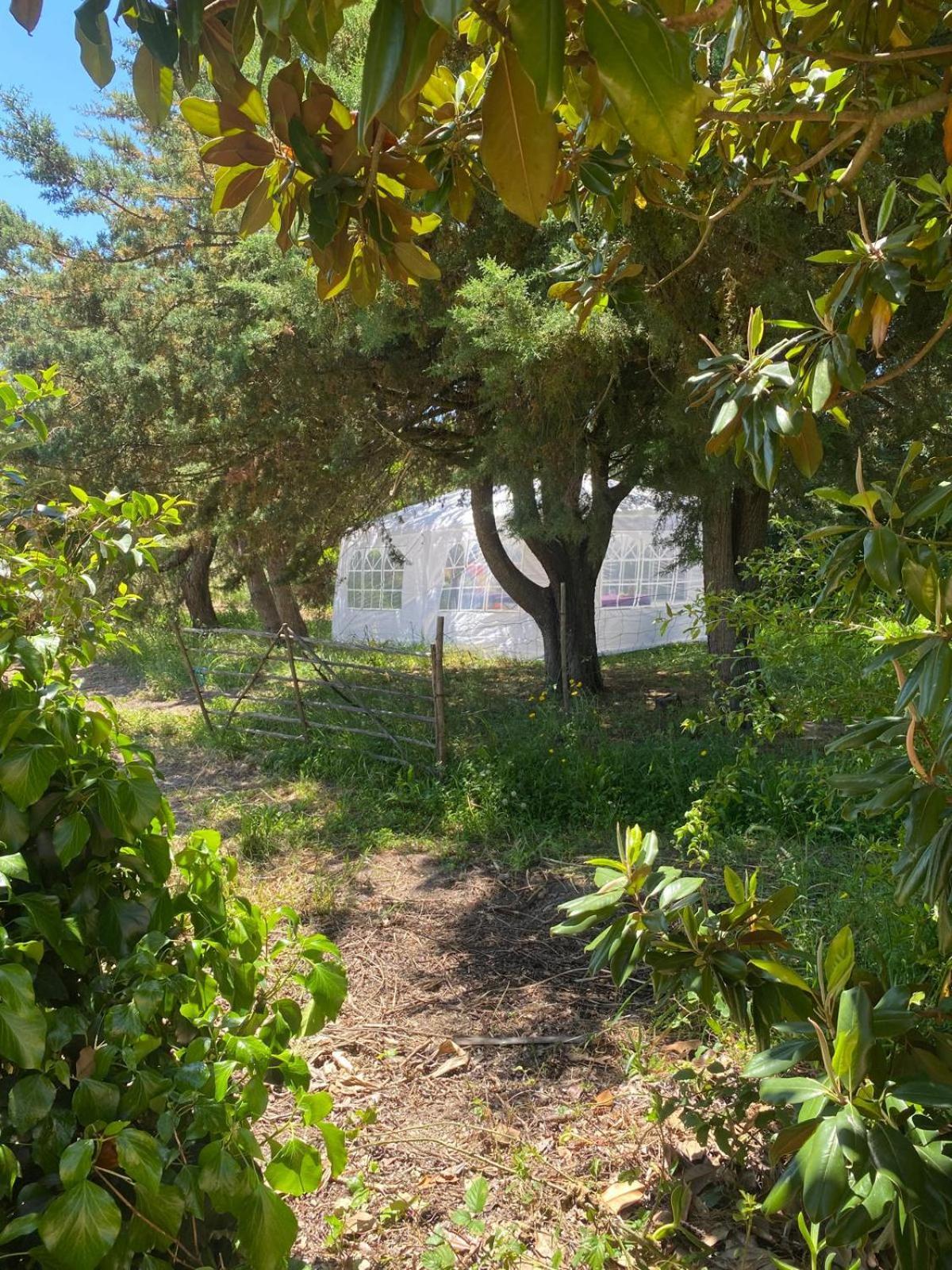 Quinta Cunte - Casa Sobreiro Villa São Luis Exteriör bild