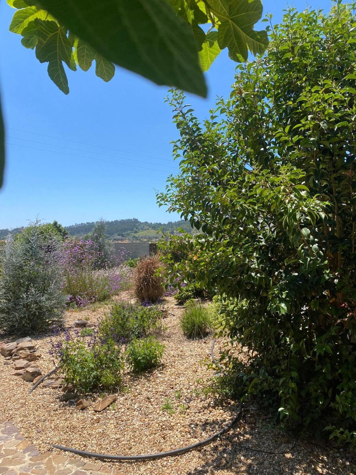 Quinta Cunte - Casa Sobreiro Villa São Luis Exteriör bild
